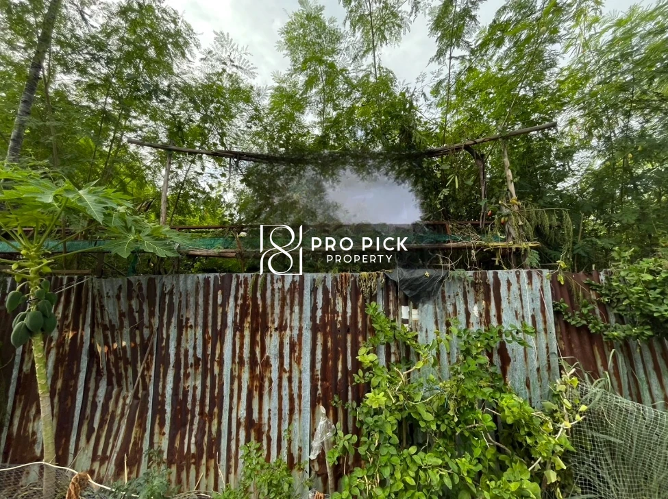 For Sale Land 109 Sqw Sukhumvit 101/1 BTS Punnawithi Sukhumvit Phra Kanong Bangkok PP-00543 photo 3