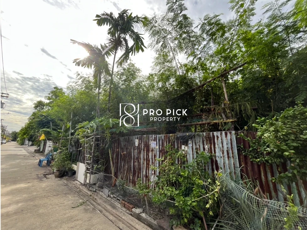 For Sale Land 109 Sqw Sukhumvit 101/1 BTS Punnawithi Sukhumvit Phra Kanong Bangkok PP-00543 photo 4
