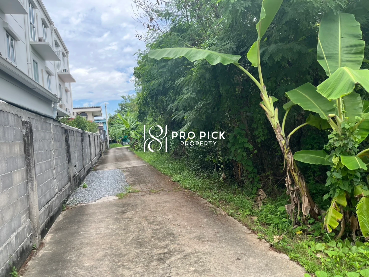 For Sale Land 497 sq.wa BTS Punnawithi Sukhumvit Phra Khanong Bangkok  PP-00730 photo 2