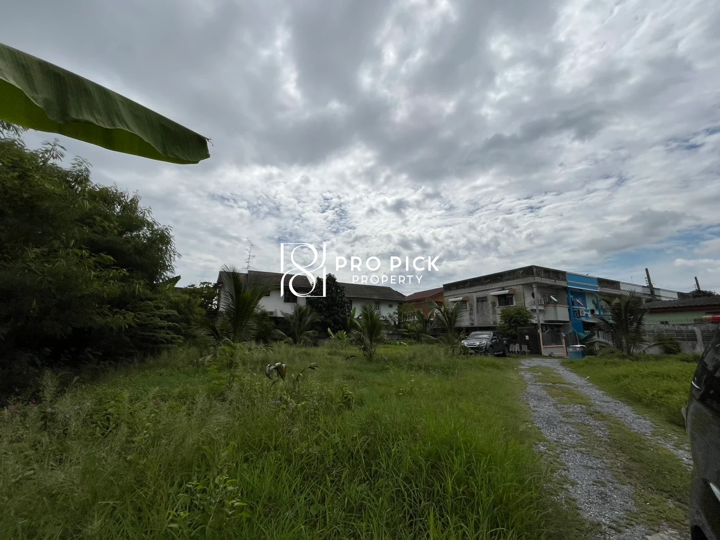 For Sale Land 497 sq.wa BTS Punnawithi Sukhumvit Phra Khanong Bangkok  PP-00730 photo 3