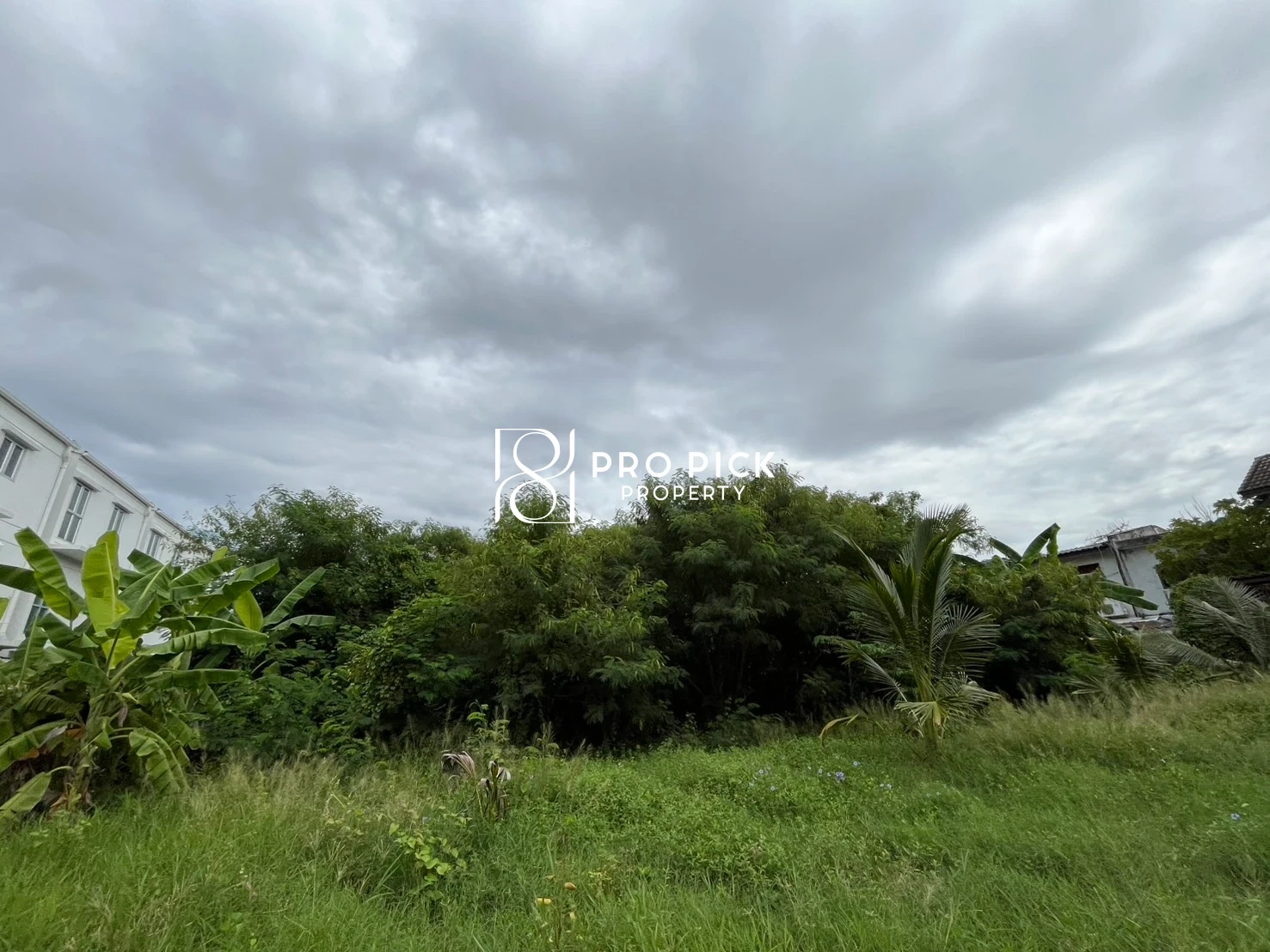 For Sale Land 497 sq.wa BTS Punnawithi Sukhumvit Phra Khanong Bangkok  PP-00730 photo 4